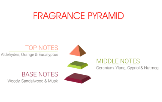 INSTANT DEZIRE EDP