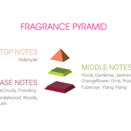 Infographics about fragrance pyramid